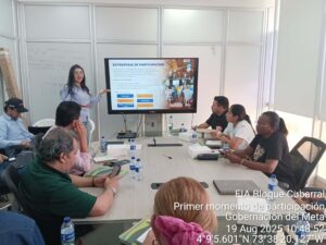 GOBERNACIÓN DEL META (18)