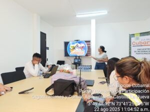 EIA Bloque Cubarral
Primer momento de Participación 
Organizaciones y Comité Ambiental de Castilla La Nueva