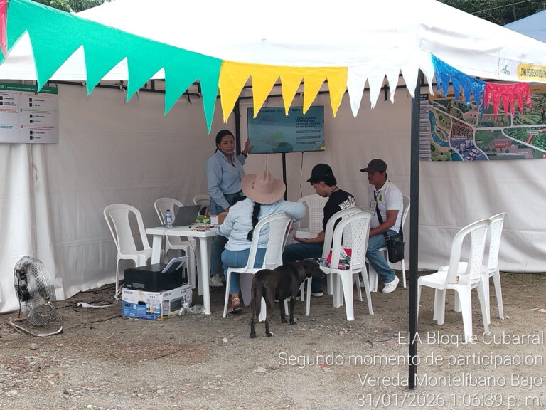 MONTELÍBANO BAJO (1)