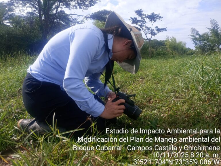 Muestreo herpetos_Castilla