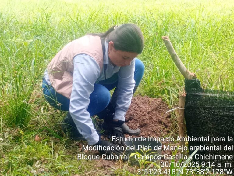 Trampa de caida herpetos_Castilla